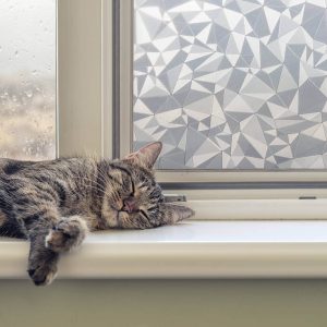 Geometric Static Film